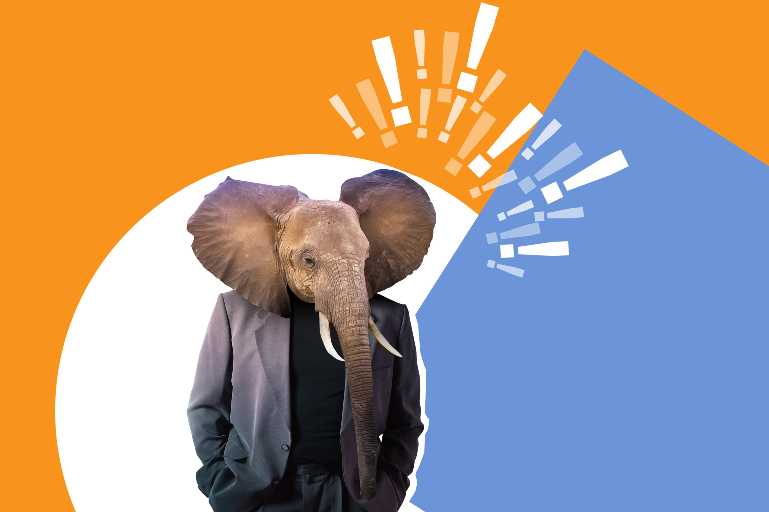 How to grow innovation elephants in large organizations –